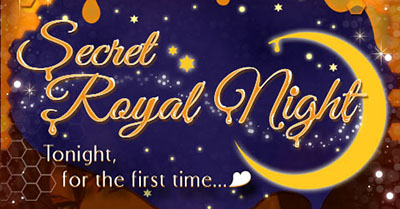 bmpp-secret-royal-night